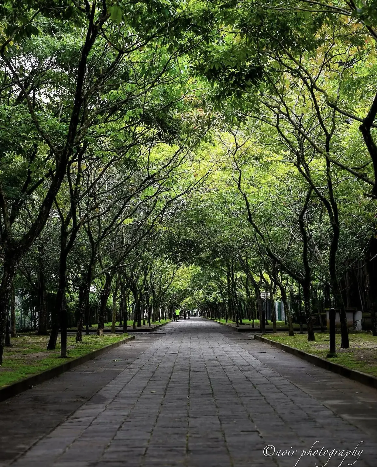 Nature and location photography